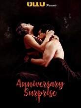 The Anniversary Surprise (2019) HDRip Hindi Episode (01-03) Watch Online Free